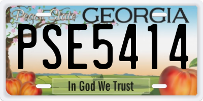 GA license plate PSE5414