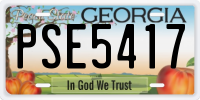 GA license plate PSE5417