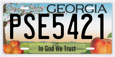 GA license plate PSE5421
