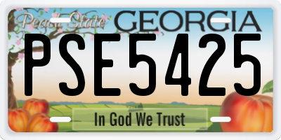 GA license plate PSE5425