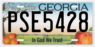 GA license plate PSE5428