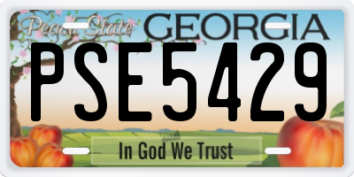 GA license plate PSE5429