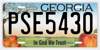 GA license plate PSE5430