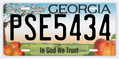 GA license plate PSE5434