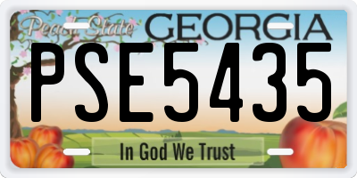 GA license plate PSE5435