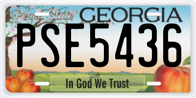 GA license plate PSE5436