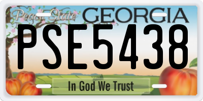 GA license plate PSE5438