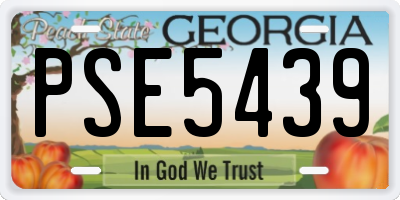 GA license plate PSE5439