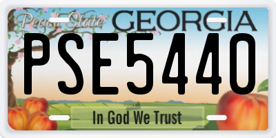GA license plate PSE5440