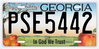 GA license plate PSE5442