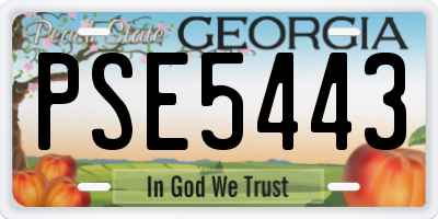 GA license plate PSE5443