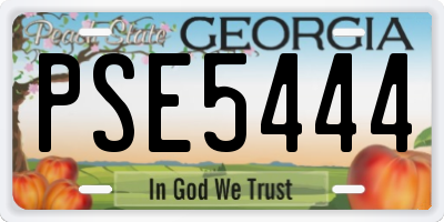 GA license plate PSE5444
