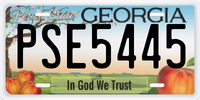 GA license plate PSE5445