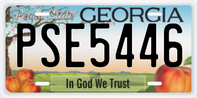 GA license plate PSE5446