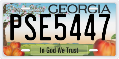GA license plate PSE5447