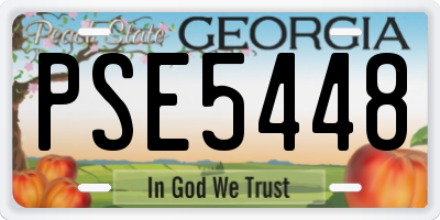 GA license plate PSE5448
