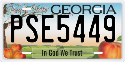 GA license plate PSE5449