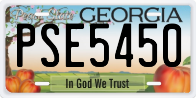 GA license plate PSE5450