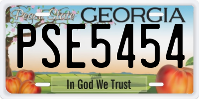 GA license plate PSE5454