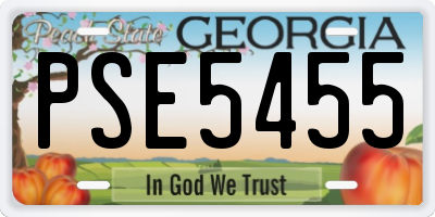 GA license plate PSE5455