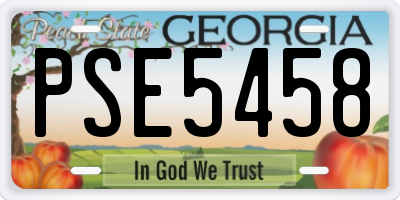 GA license plate PSE5458