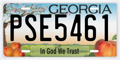 GA license plate PSE5461