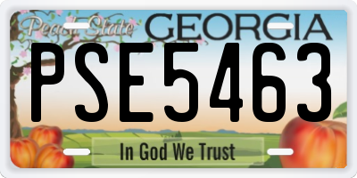 GA license plate PSE5463