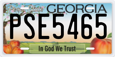 GA license plate PSE5465