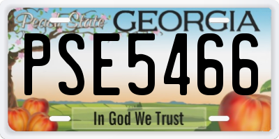 GA license plate PSE5466