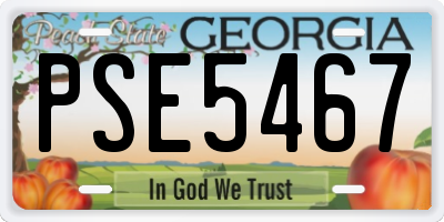 GA license plate PSE5467