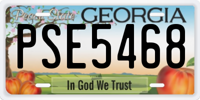 GA license plate PSE5468