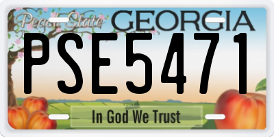 GA license plate PSE5471