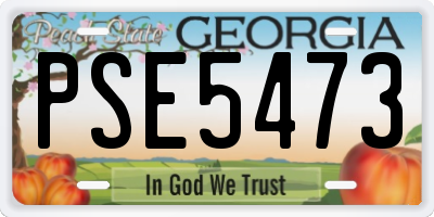 GA license plate PSE5473