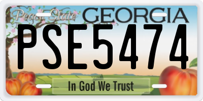 GA license plate PSE5474