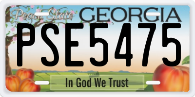 GA license plate PSE5475