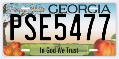 GA license plate PSE5477