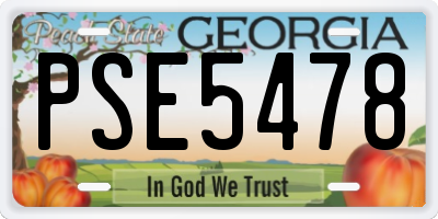 GA license plate PSE5478