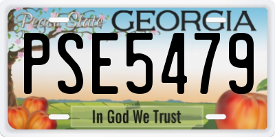 GA license plate PSE5479