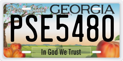 GA license plate PSE5480