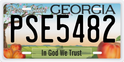GA license plate PSE5482