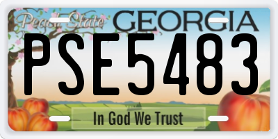 GA license plate PSE5483