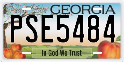 GA license plate PSE5484