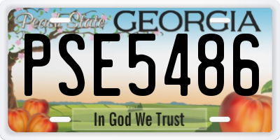 GA license plate PSE5486