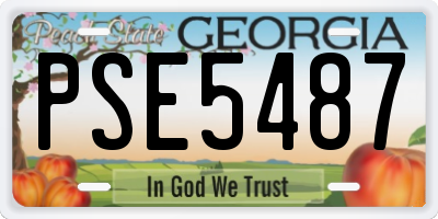 GA license plate PSE5487