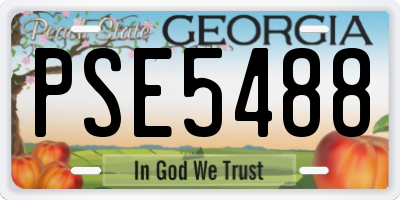 GA license plate PSE5488