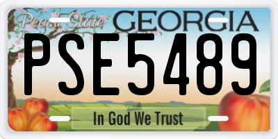 GA license plate PSE5489