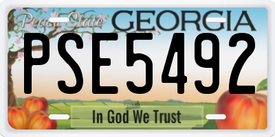 GA license plate PSE5492