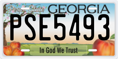 GA license plate PSE5493