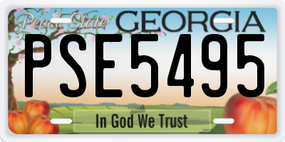 GA license plate PSE5495