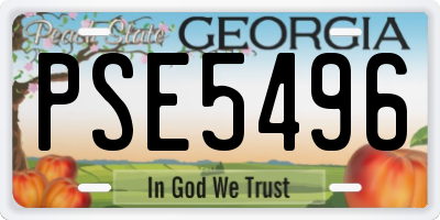 GA license plate PSE5496